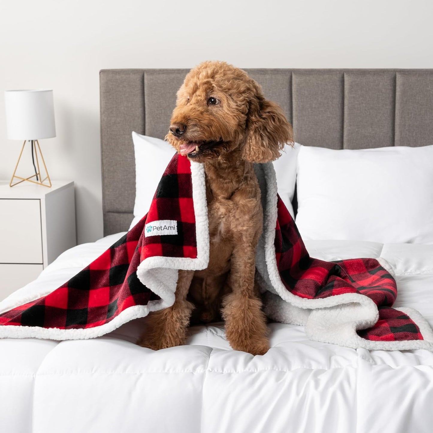 Waterproofdog Blanket for Bed, XL Dog Pet Blanket Couch Cover Protection, Sherpa Fleece Leakproof Bed Blanket for Crate Kennel Sofa Furniture Protector, Reversible Soft Plush 80X60 Checker Red